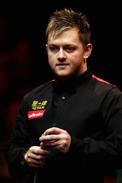 其职业生涯 其职业生涯