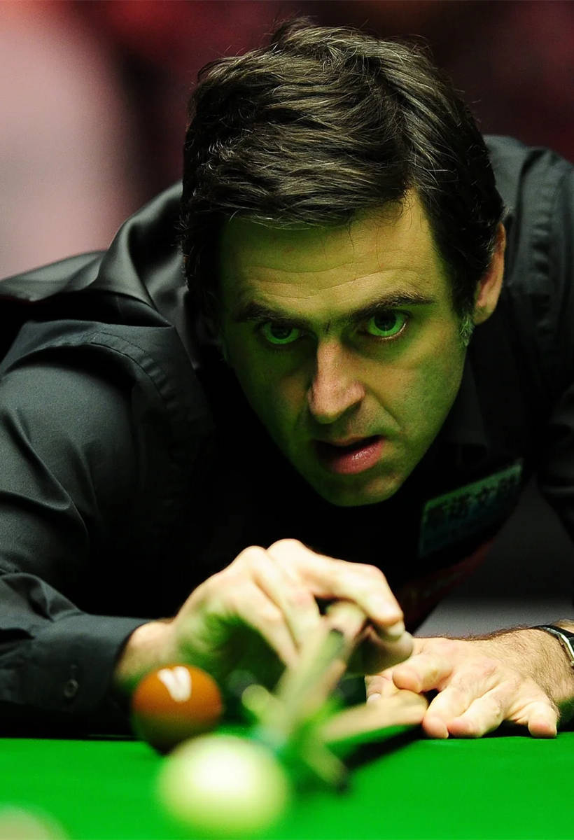 更成为生态 更成为生态