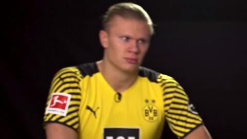 行为趋于零 行为趋于零